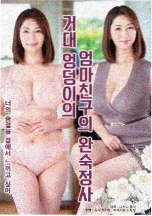 排播观察配图,剧集更新节奏与字幕版本记录